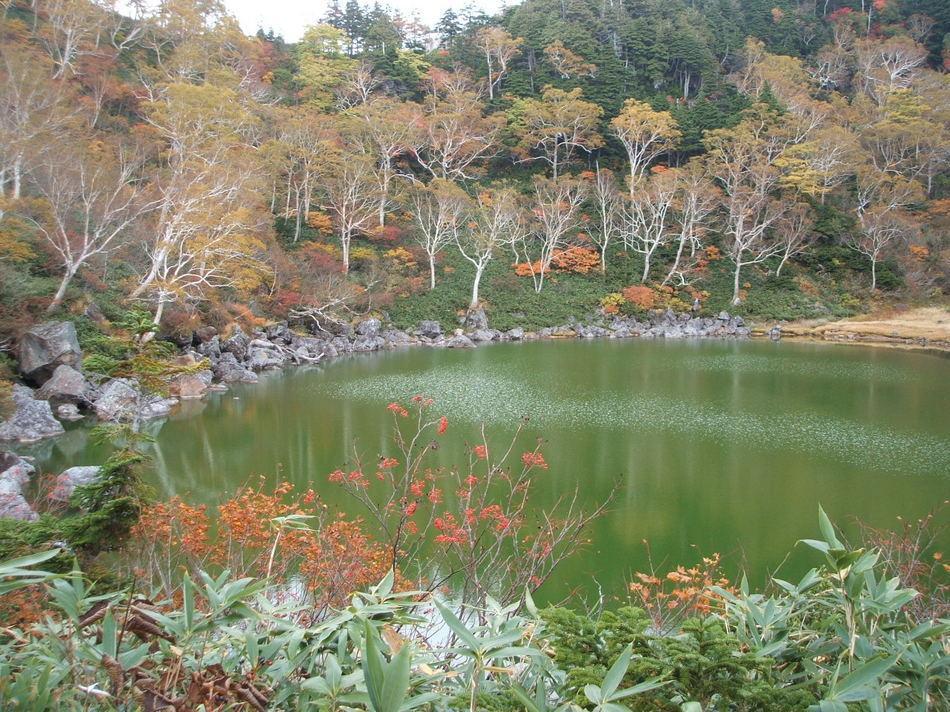 Otari Natural Pension Pumpkin מראה חיצוני תמונה