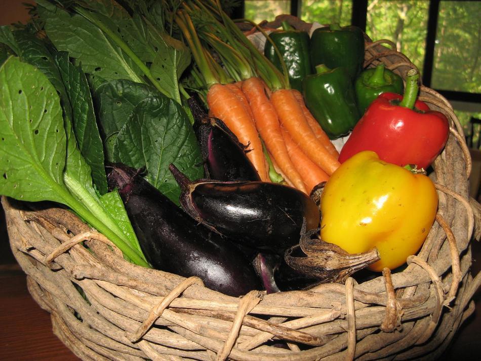 Otari Natural Pension Pumpkin מראה חיצוני תמונה